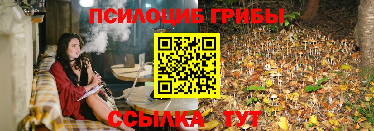 Псилоцибиновые грибы ЛСД  Вход с VPN  Ртищево  Галлюциногенные грибы MAGIC MUSHROOMS 
